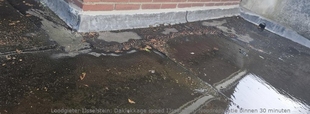 Daklekkage Spoed Ijsselstein