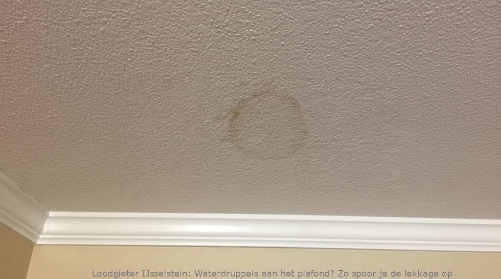 Lekkage Plafond Ijsselstein