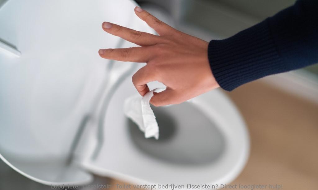 Toilet Verstopt Bedrijven Ijsselstein